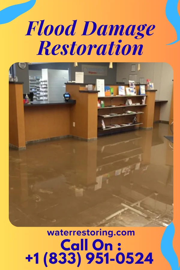 Flood Damage Restoration in Scott City, KS