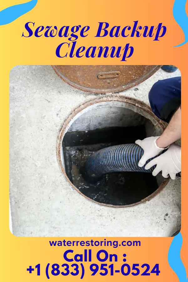 Sewage Backup Cleanup in Scott City, KS